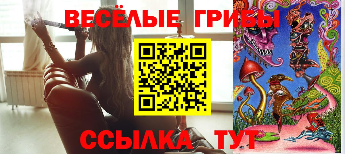 купить   Вход с VPN  Аргун  Псилоцибиновые грибы мухоморы 