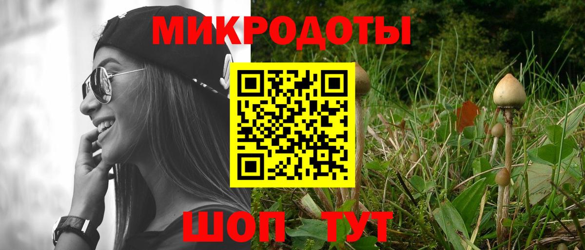 Псилоцибиновые грибы мухоморы Аргун